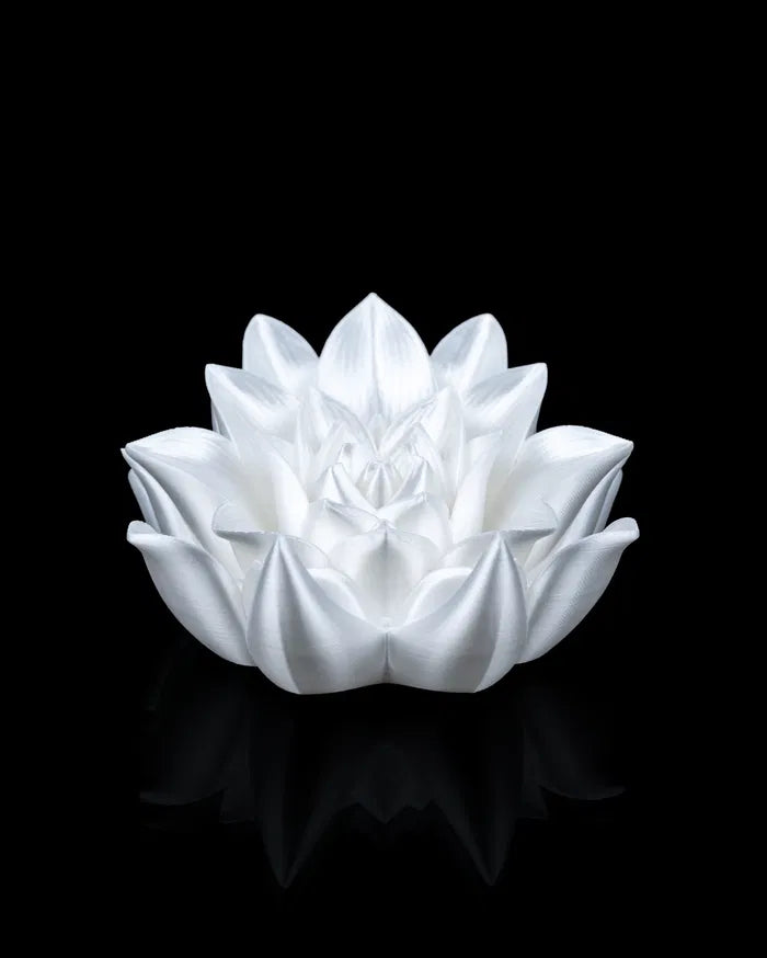 Root of Awakening - Book Stand