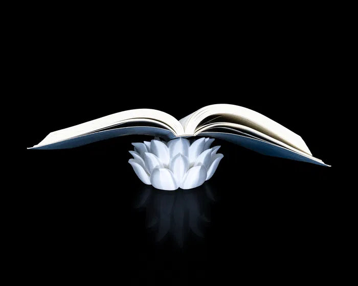 Root of Awakening - Book Stand