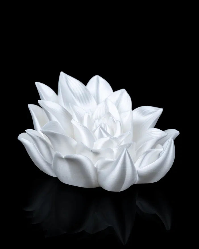 Root of Awakening - Book Stand